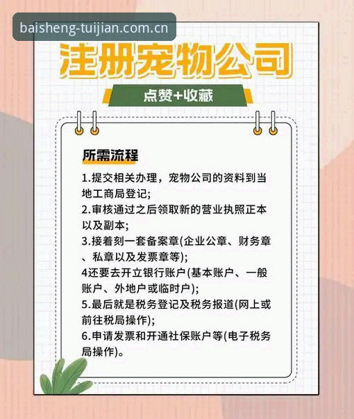 百胜游戏注册使用指南深度解析：官方入口与操作全流程详解